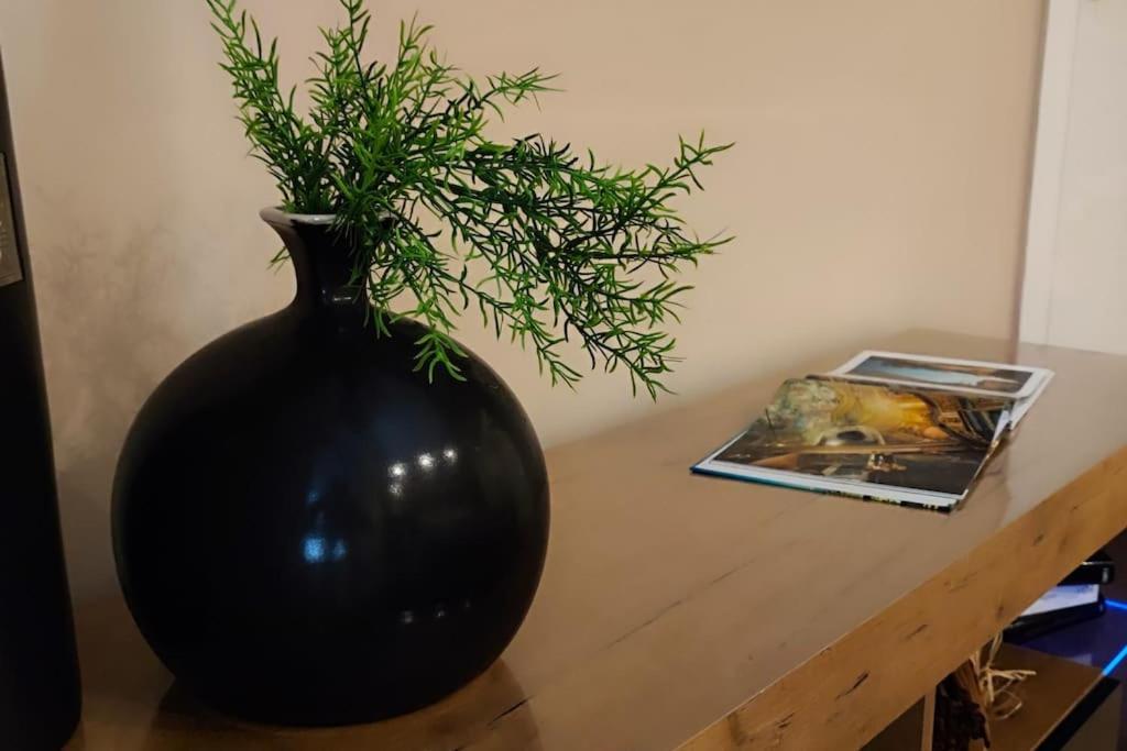 Apartmán Casa Relax - 500 Mt. Dal Centro Turín Exteriér fotografie